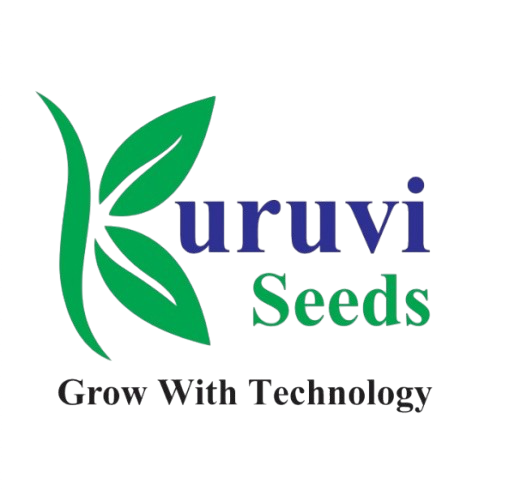 Kuruvi Seeds Logo